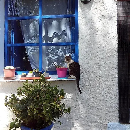 Cortijo Buena Vista Casa rural Laroles